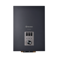 Электрический настенный котел THERMEX Stern 9 Электрический настенный котел THERMEX Stern 9